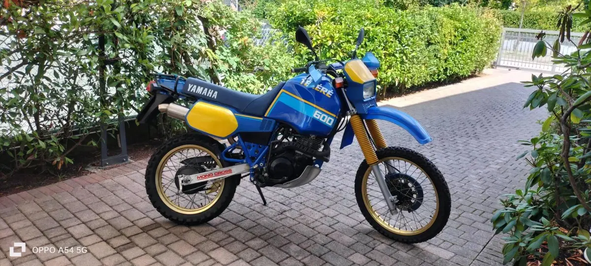 Yamaha Tenere' (3)