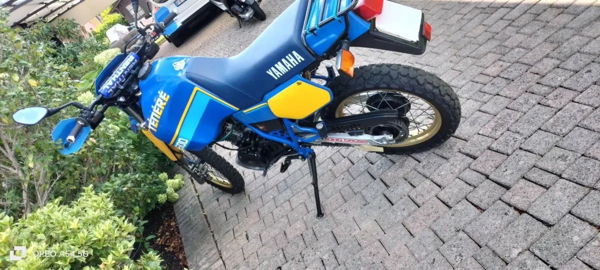 Yamaha Tenere' (4)