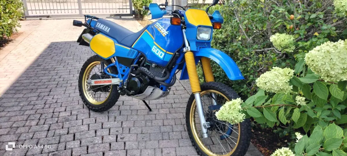 Yamaha Tenere' (6)