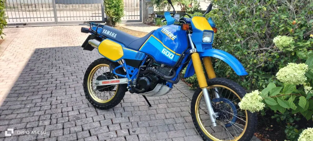 Yamaha Tenere' (9)