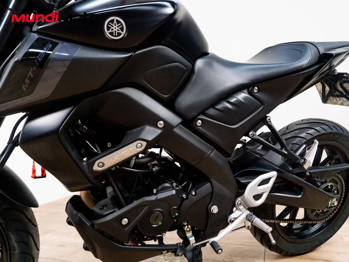 Yamaha MT-125 (2014 - 16) (4)