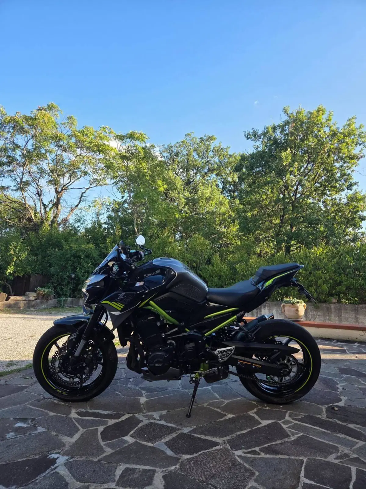 Kawasaki Z 900 (2020) (2)
