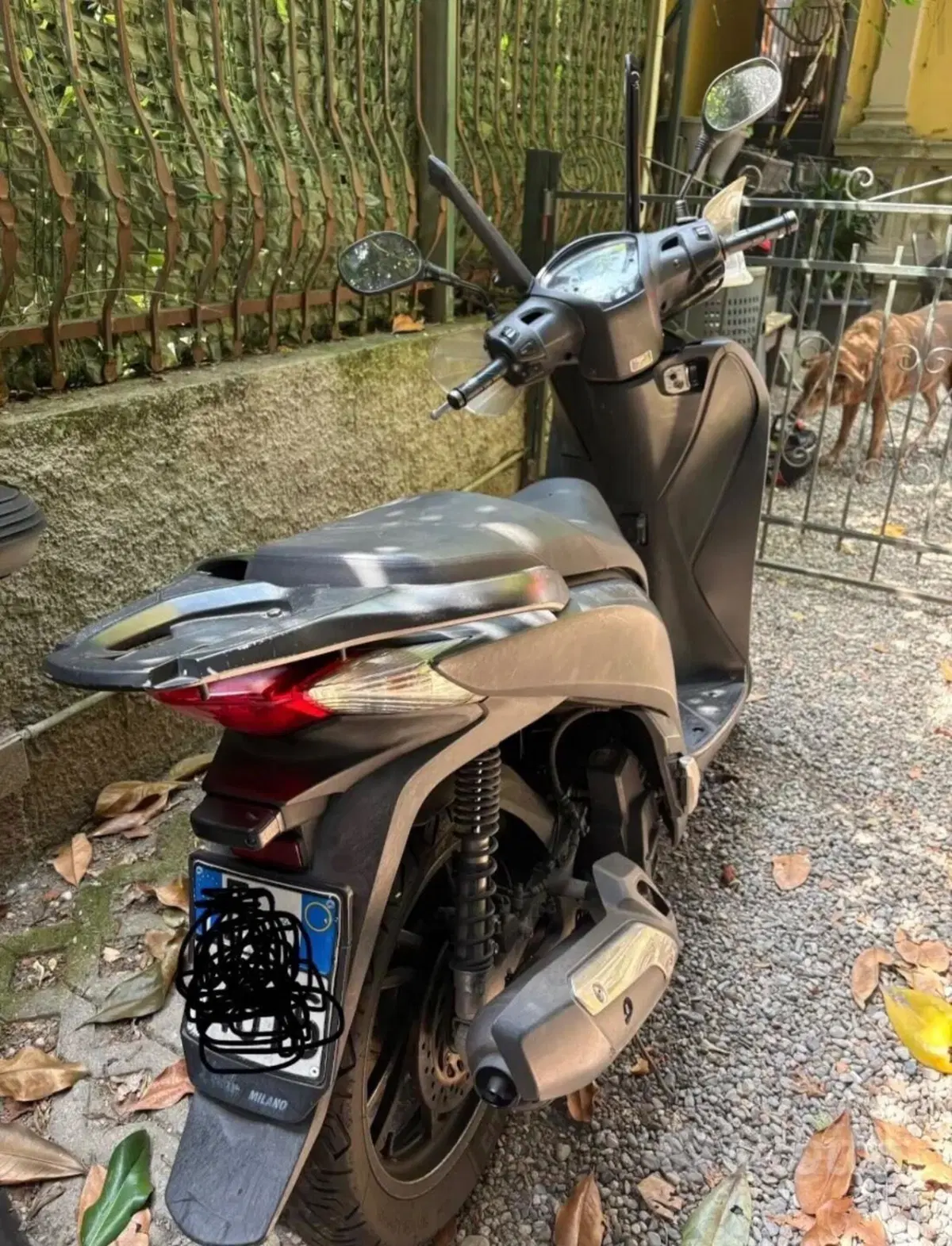 Honda SH 125 i ABS (2013 - 17) (4)