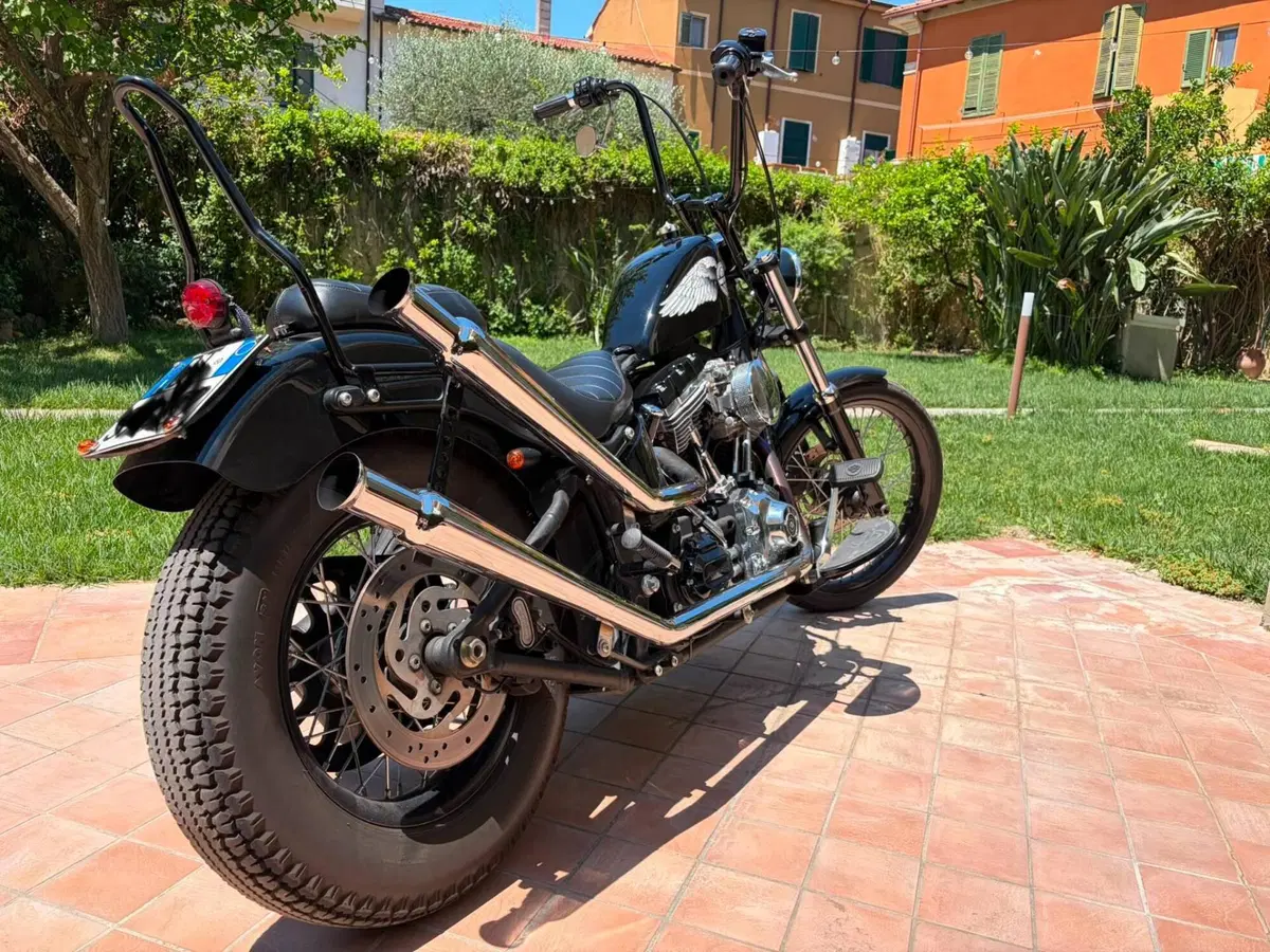 Harley-Davidson 1584 Blackline (2011 - 13) - FXS (3)