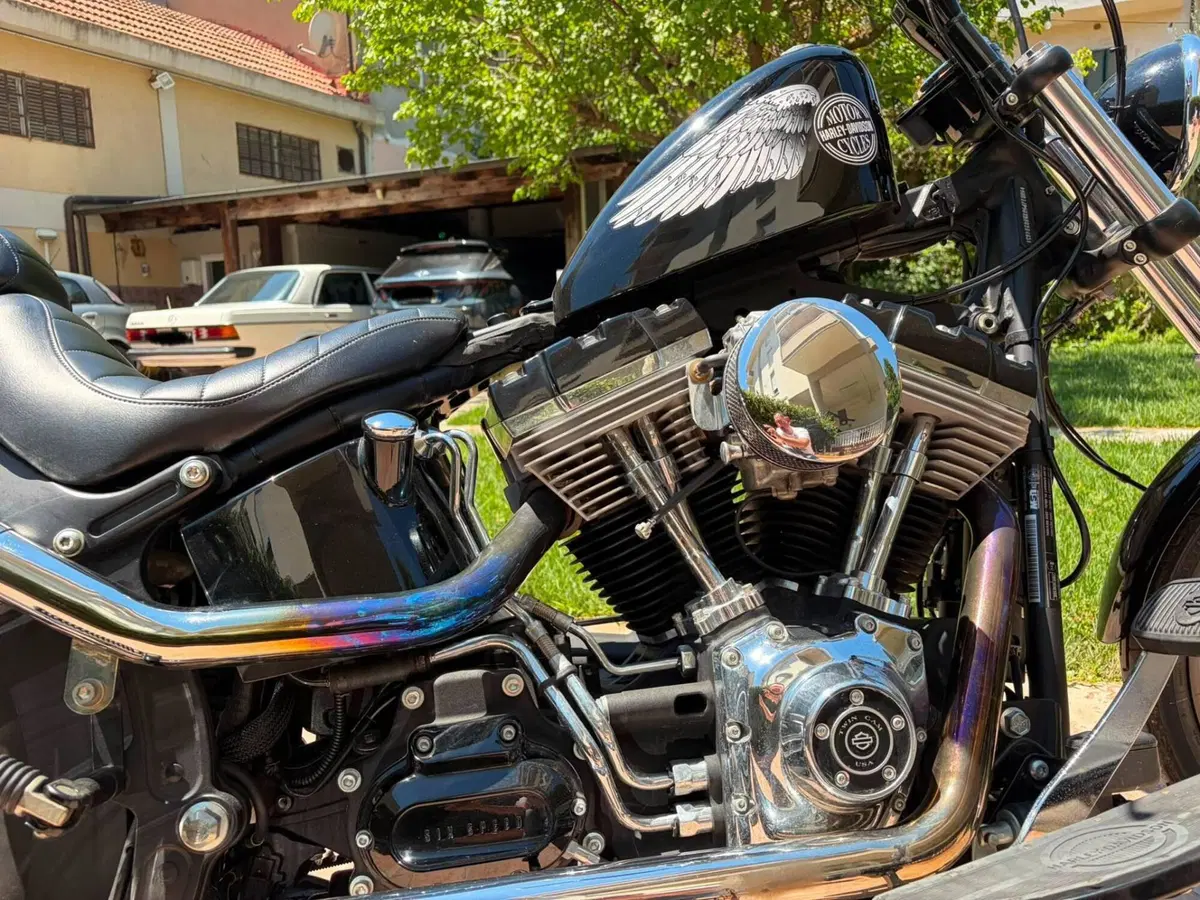 Harley-Davidson 1584 Blackline (2011 - 13) - FXS (4)