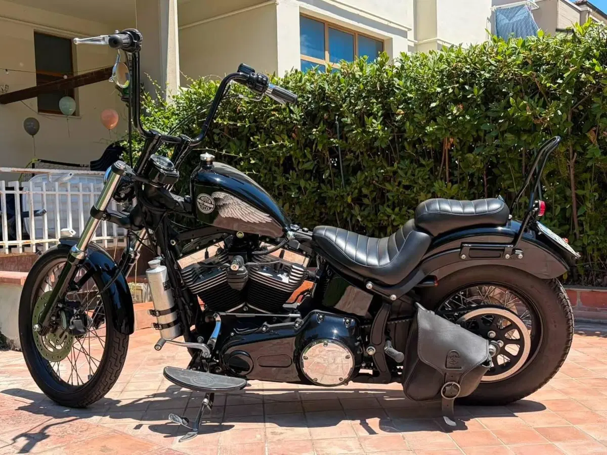 Harley-Davidson 1584 Blackline (2011 - 13) - FXS (5)
