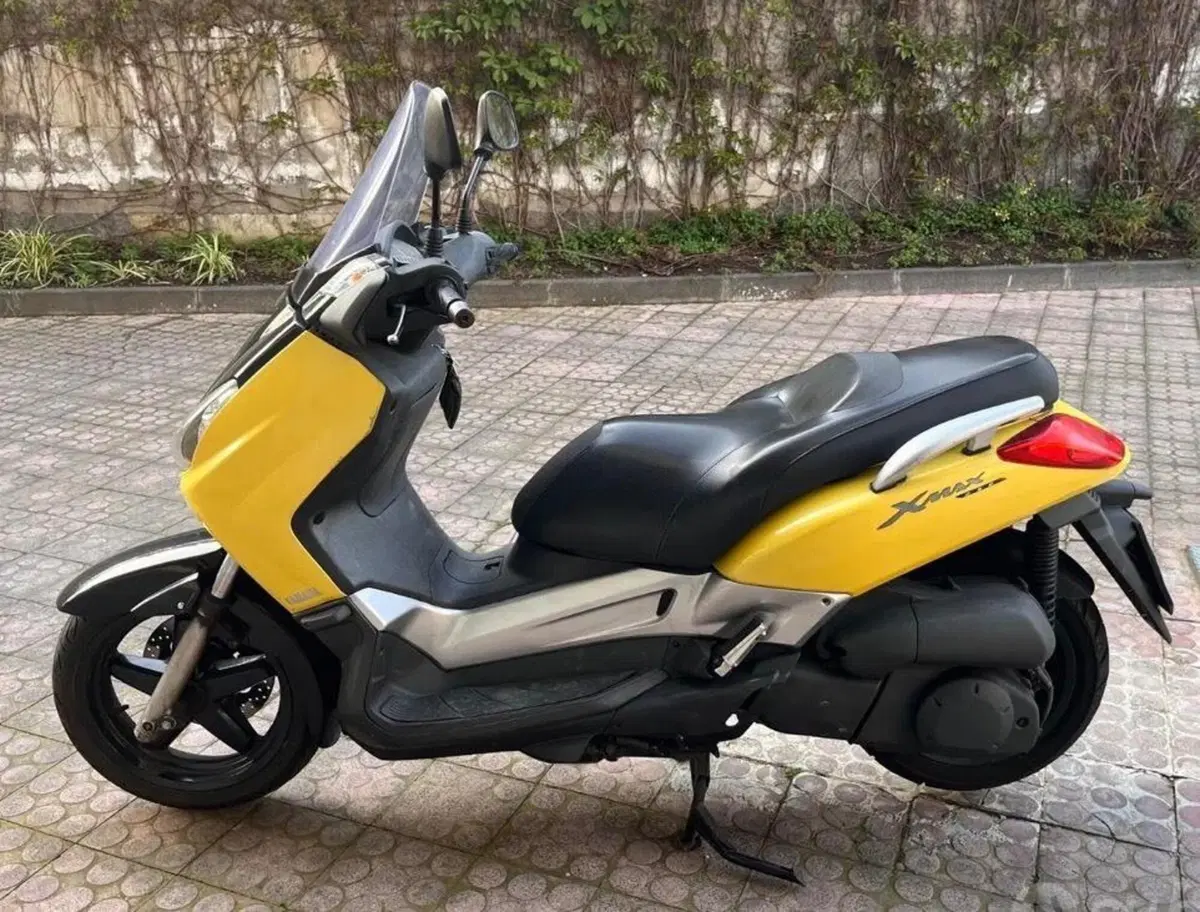 Yamaha X-Max 250 (2005 - 07) (2)