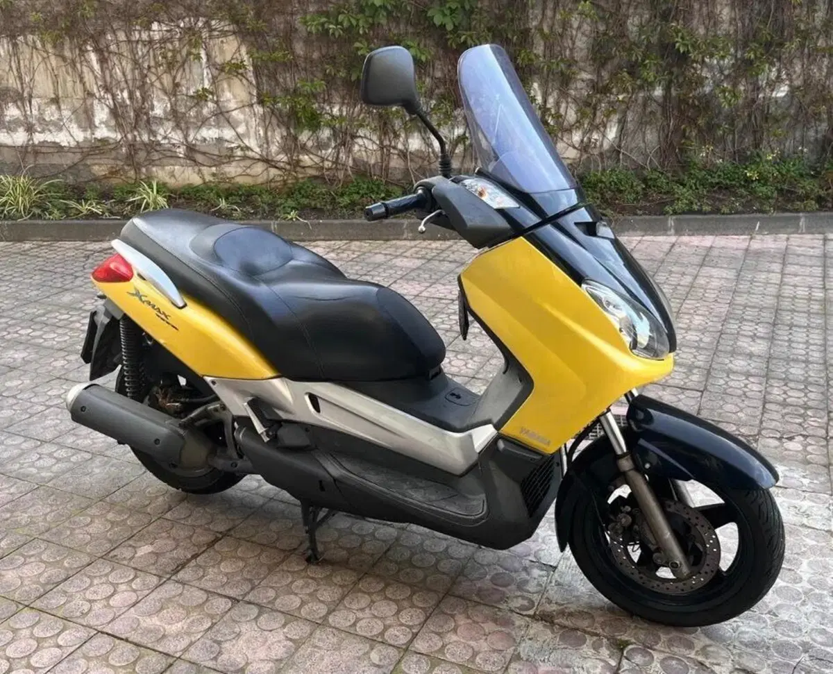 Yamaha X-Max 250 (2005 - 07) (3)