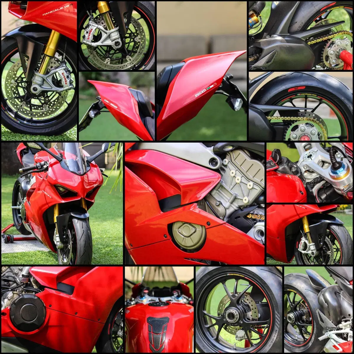 Ducati Panigale V4 S 1100 (2018 - 19) (6)