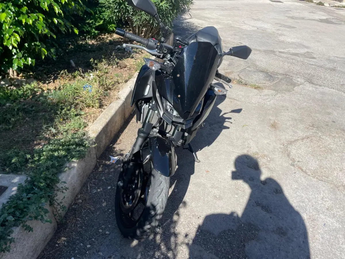 Kawasaki Z 500 (2024 - 26)