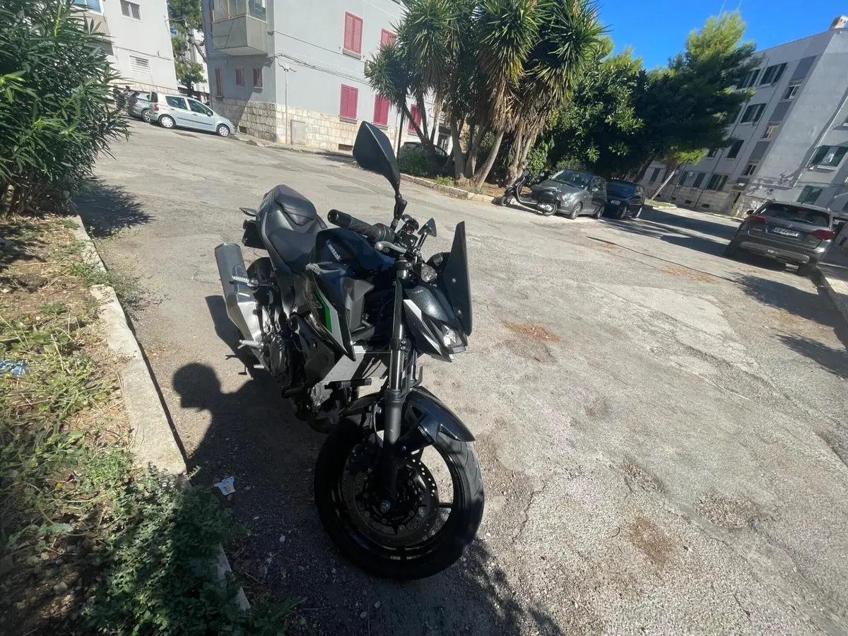 Kawasaki Z 500 (2024 - 26) (2)