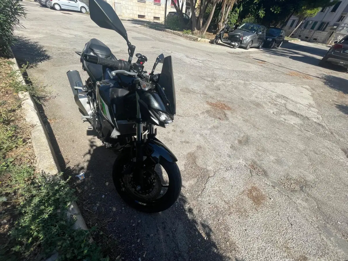 Kawasaki Z 500 (2024 - 26) (3)