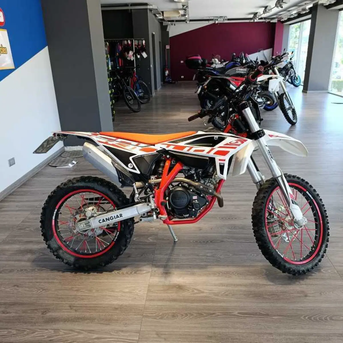 Betamotor RR 125 4T Enduro LC (2021 - 23) (3)