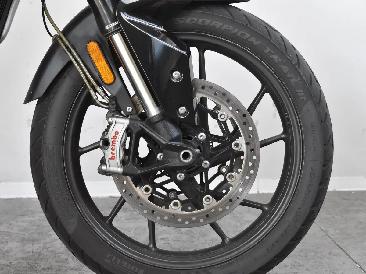 Triumph Tiger 900 GT (2020 - 23) (9)