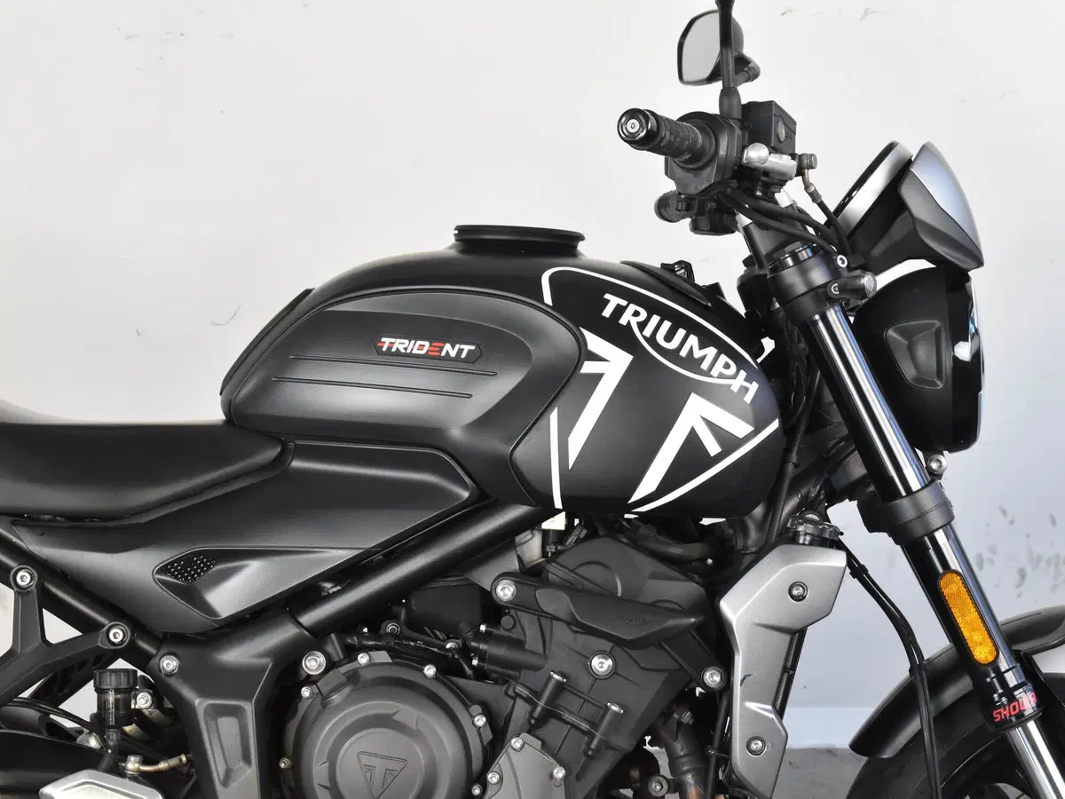 Triumph Trident 660 (2021 - 24) (8)