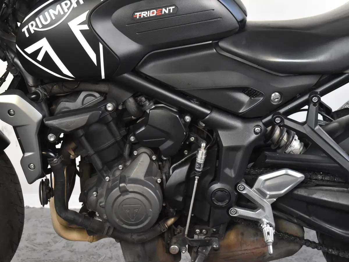 Triumph Trident 660 (2021 - 24) (14)