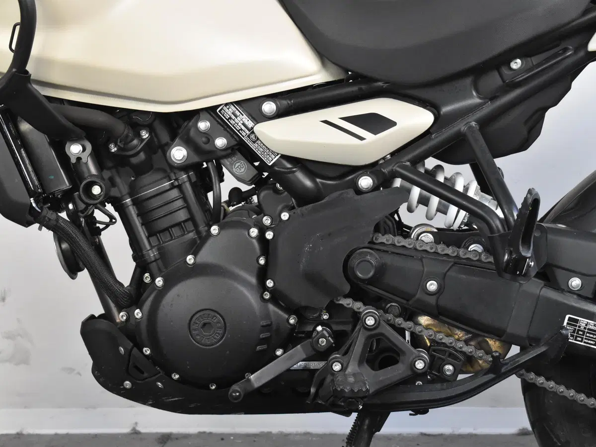 Royal Enfield Himalayan 450 (2024 - 26) (13)