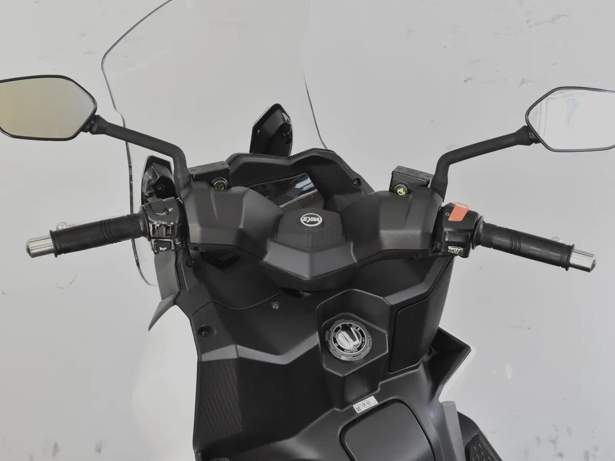 Sym Joyride 300 (2022 - 24) (19)