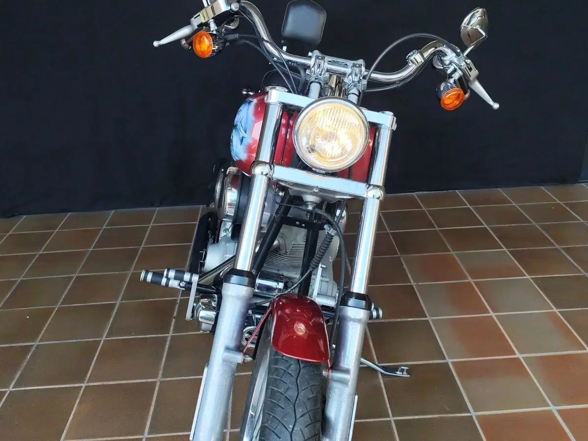 Harley-Davidson 1450 Standard (2002 - 05) - FXSTI (3)