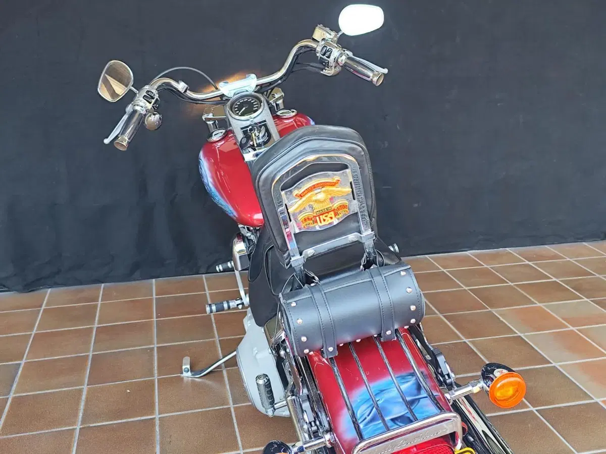 Harley-Davidson 1450 Standard (2002 - 05) - FXSTI (4)