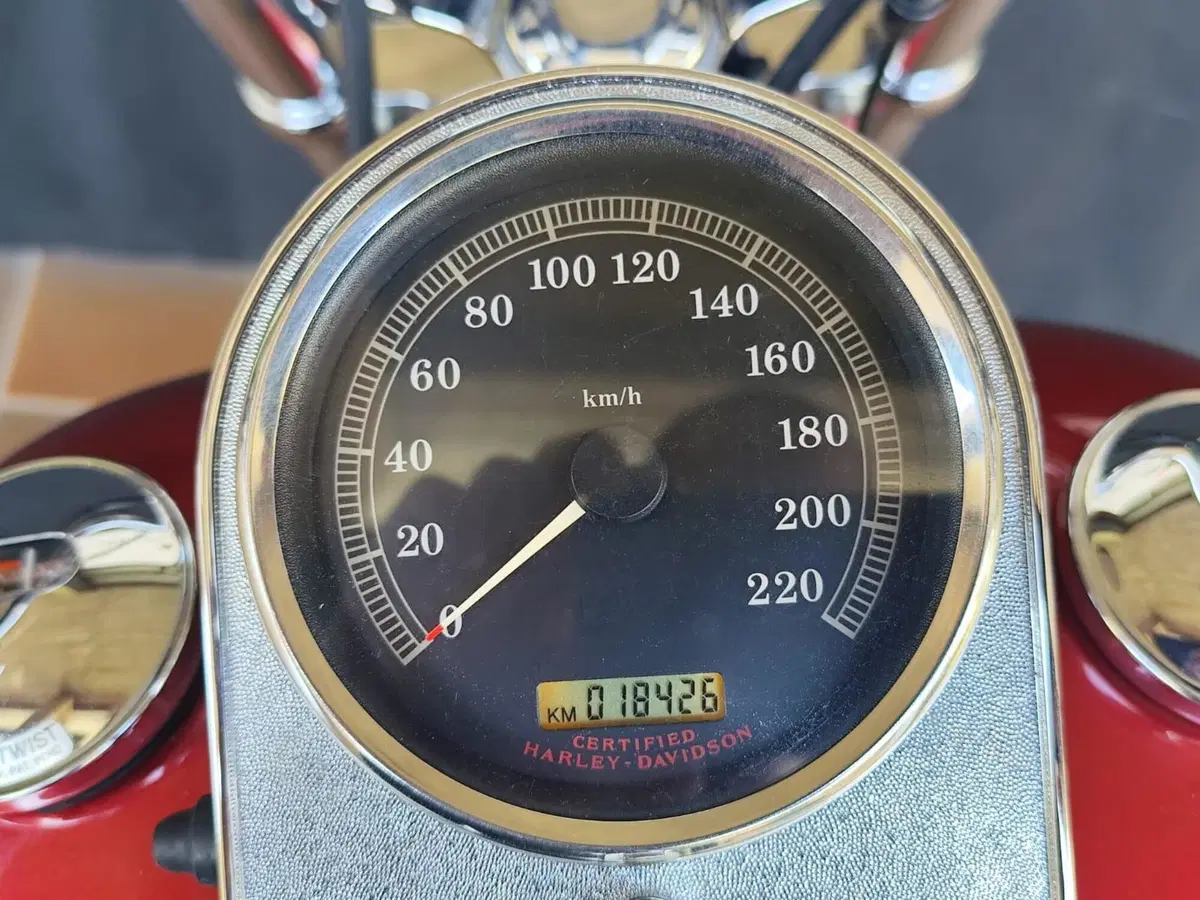 Harley-Davidson 1450 Standard (2002 - 05) - FXSTI (5)