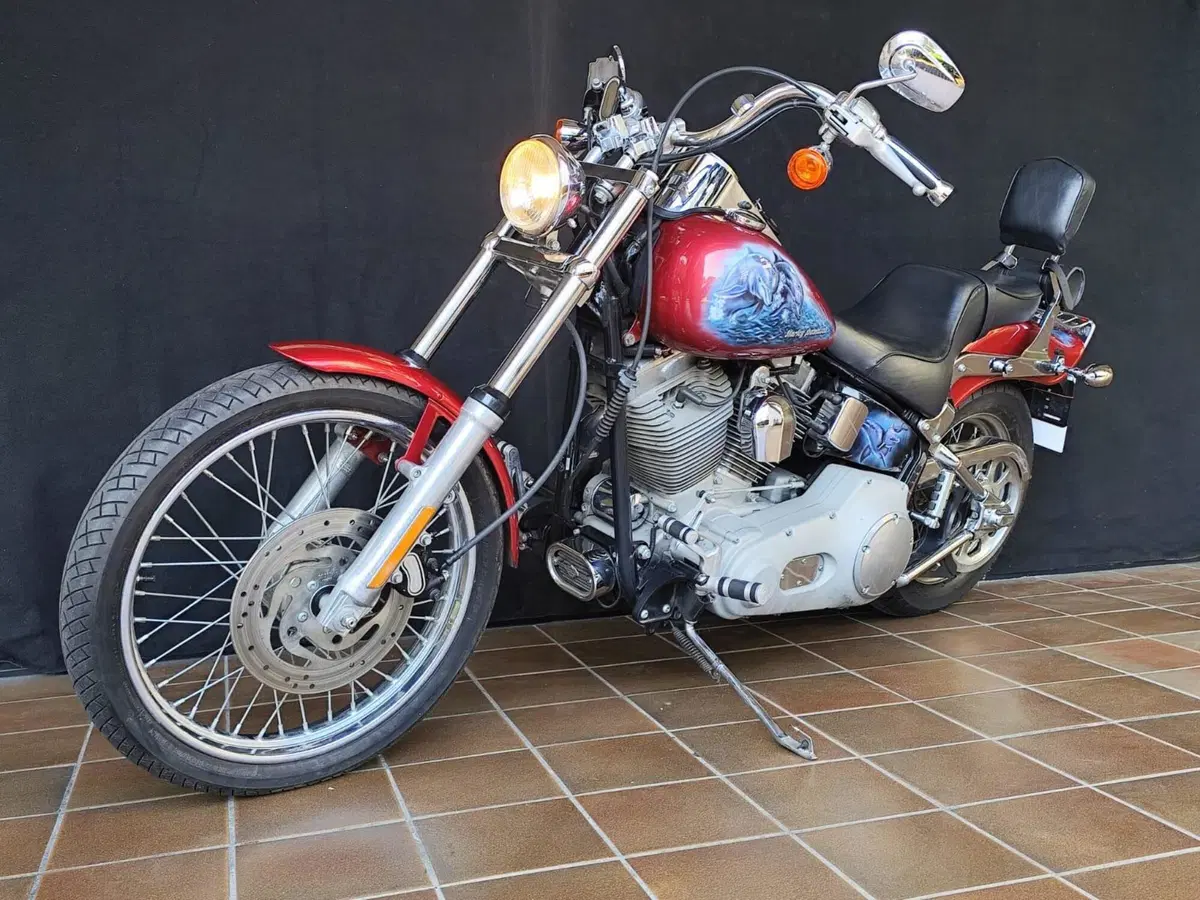 Harley-Davidson 1450 Standard (2002 - 05) - FXSTI (6)