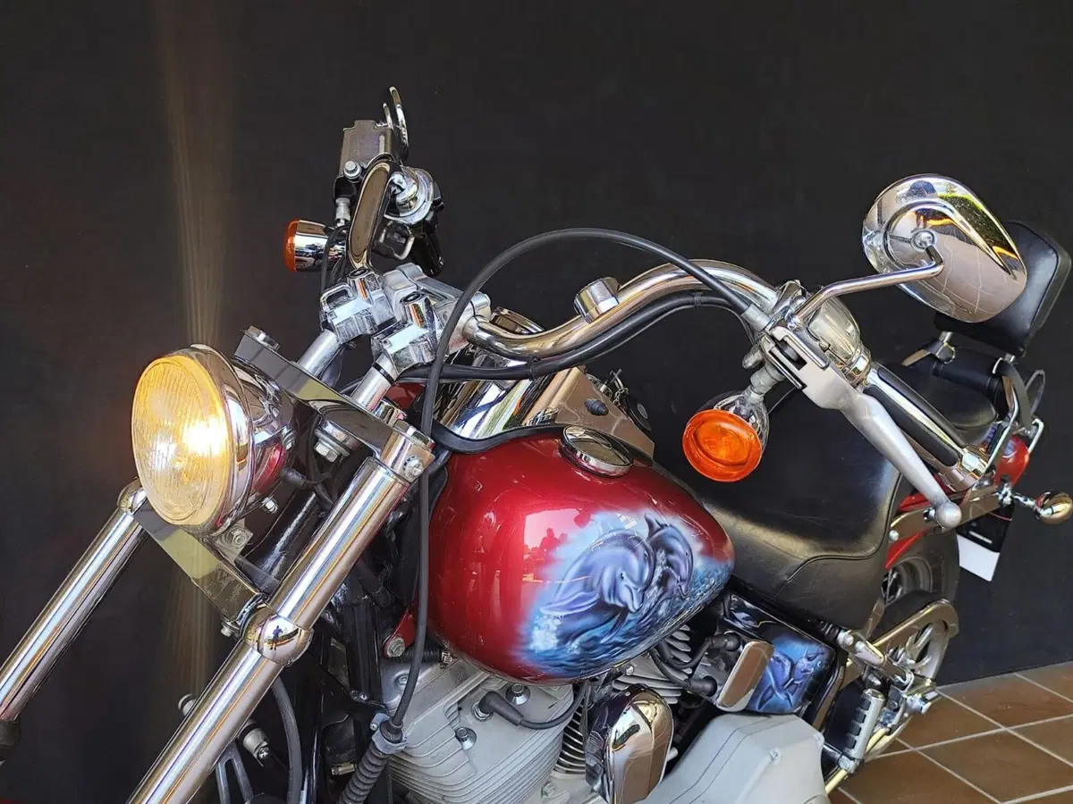 Harley-Davidson 1450 Standard (2002 - 05) - FXSTI (7)