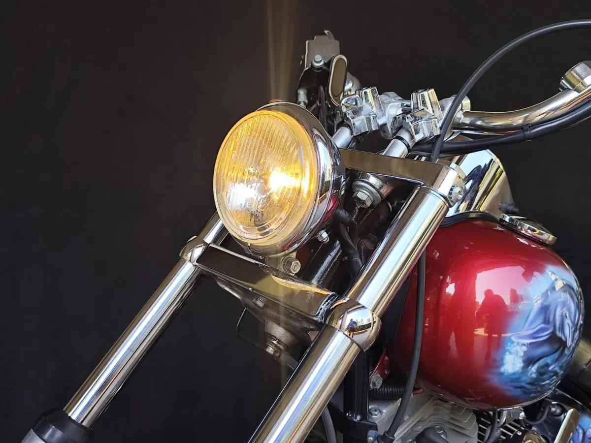 Harley-Davidson 1450 Standard (2002 - 05) - FXSTI (8)