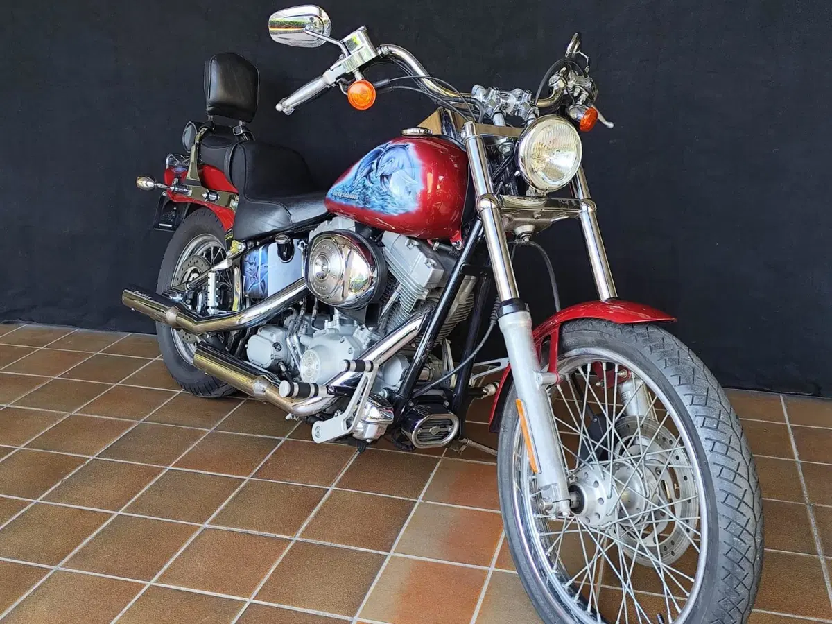 Harley-Davidson 1450 Standard (2002 - 05) - FXSTI (9)