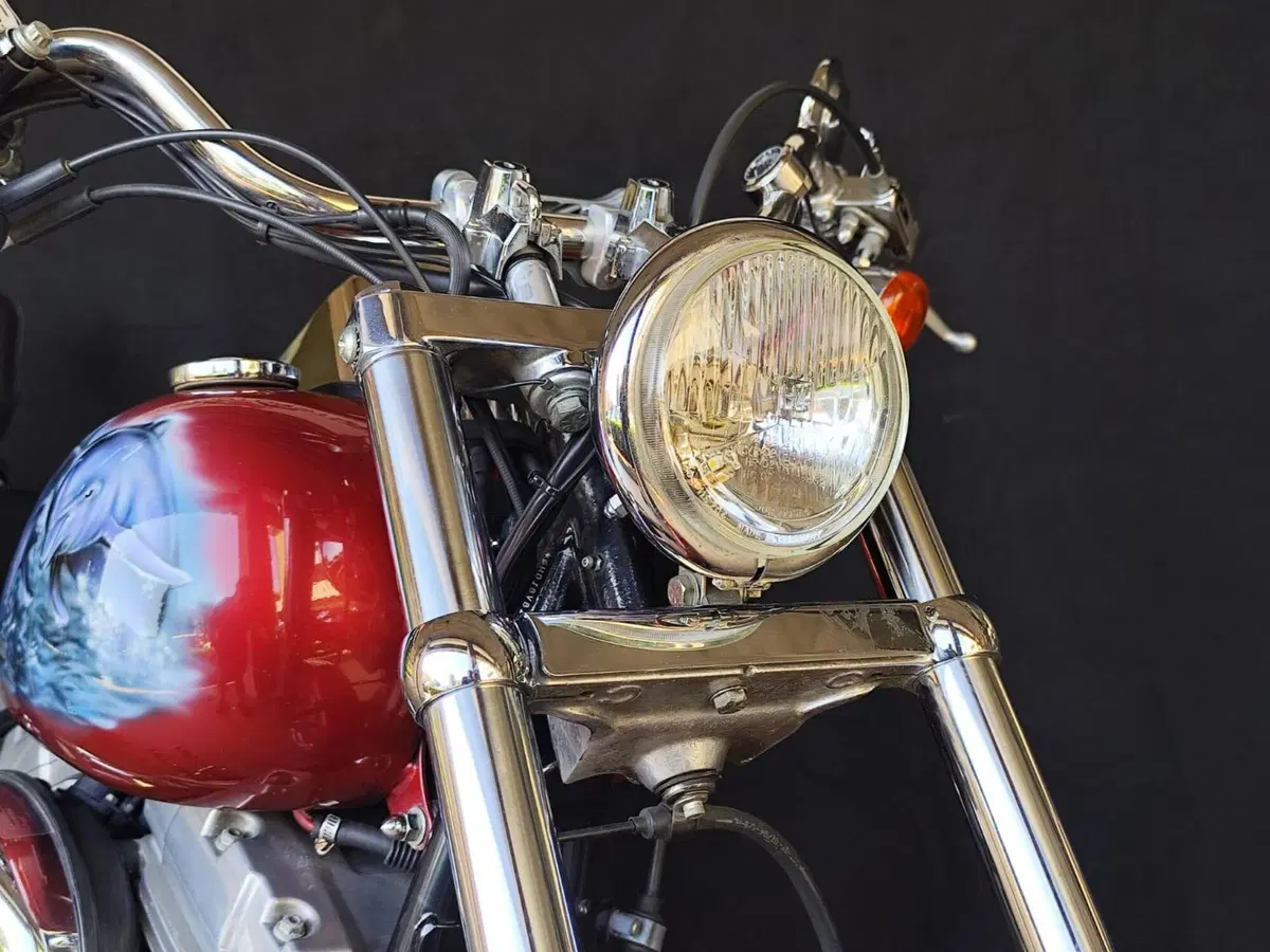 Harley-Davidson 1450 Standard (2002 - 05) - FXSTI (11)