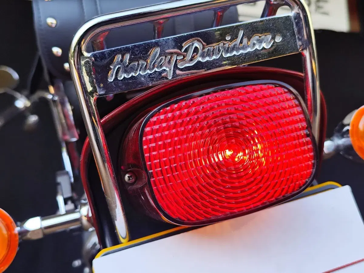 Harley-Davidson 1450 Standard (2002 - 05) - FXSTI (14)