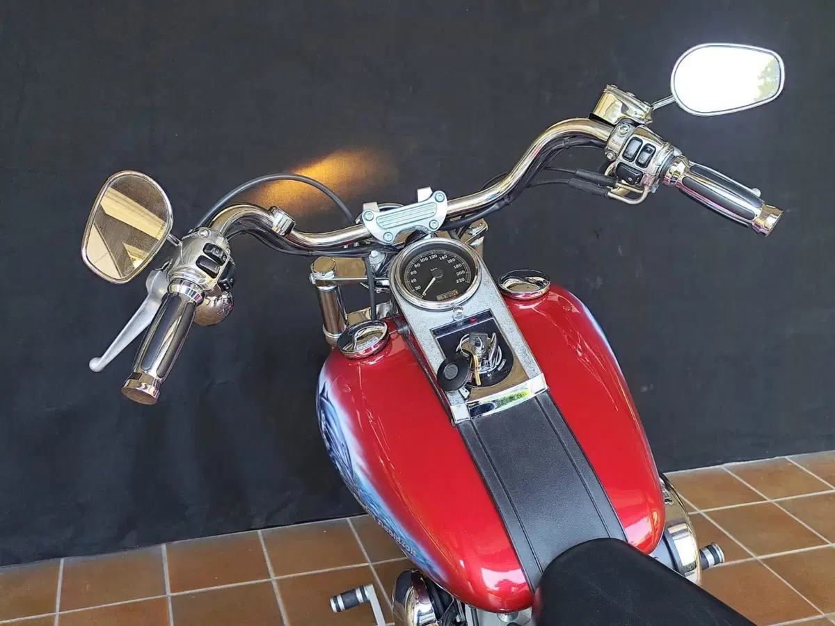 Harley-Davidson 1450 Standard (2002 - 05) - FXSTI (16)