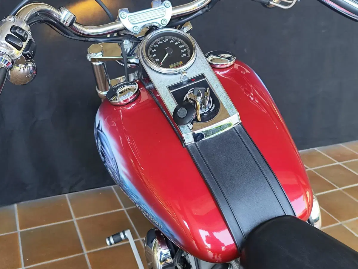 Harley-Davidson 1450 Standard (2002 - 05) - FXSTI (17)