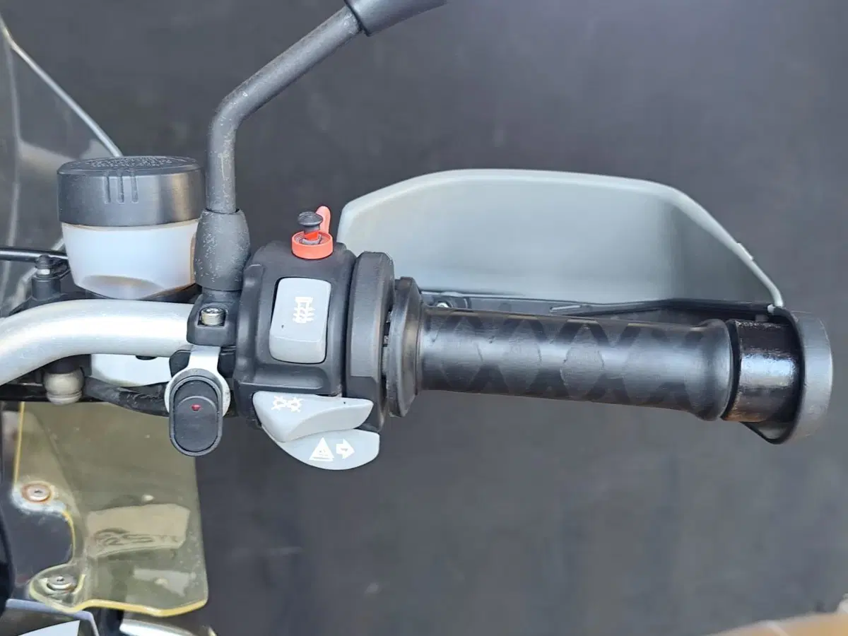 Bmw R 1200 GS (2008 - 09) (14)