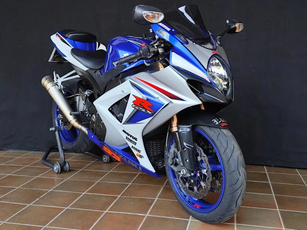 Suzuki GSX-R1000 (2006 - 08) (9)