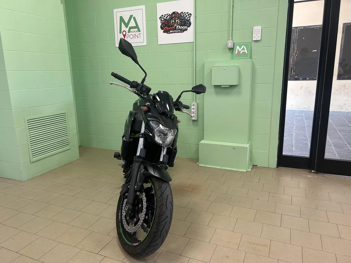 Kawasaki Z 650 (2017 - 19) (3)