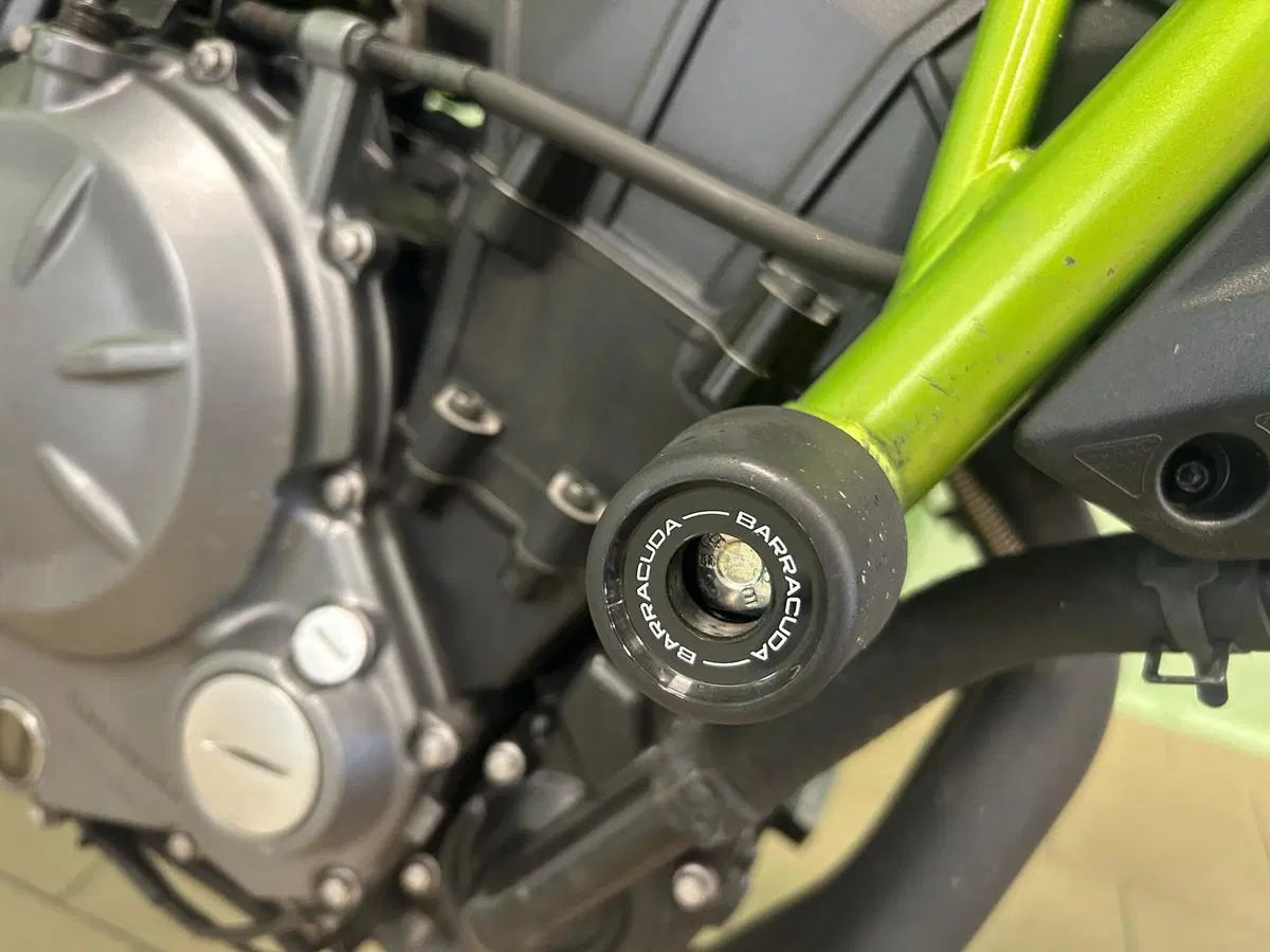 Kawasaki Z 650 (2017 - 19) (8)
