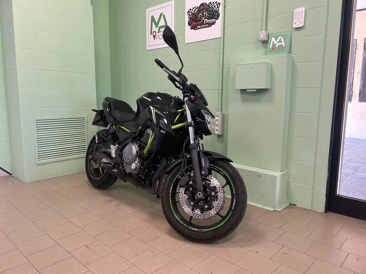 Kawasaki Z 650 (2017 - 19) (11)