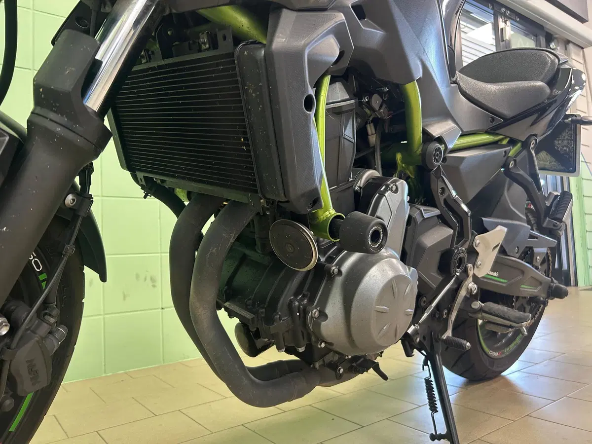 Kawasaki Z 650 (2017 - 19) (13)