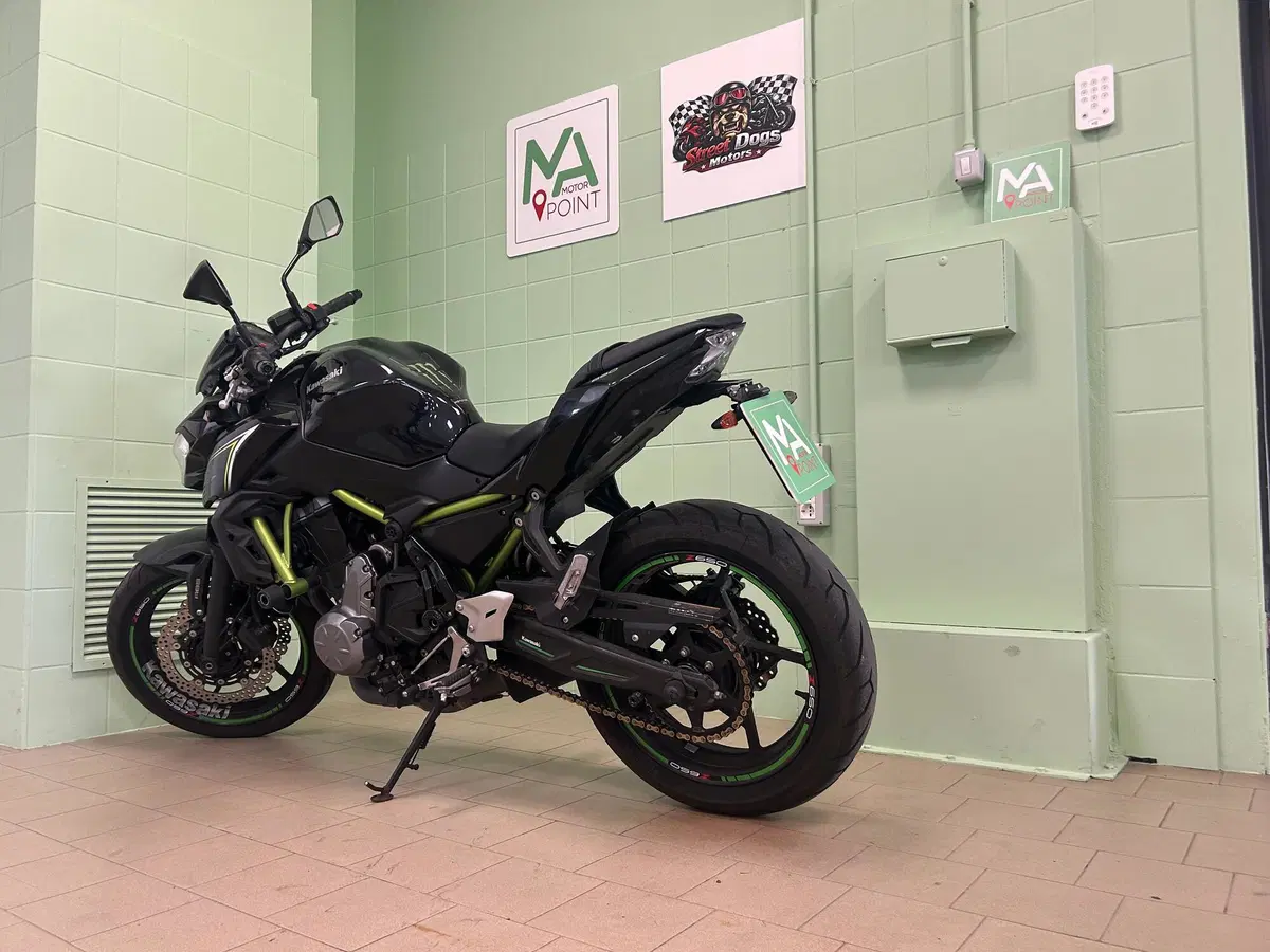 Kawasaki Z 650 (2017 - 19) (15)