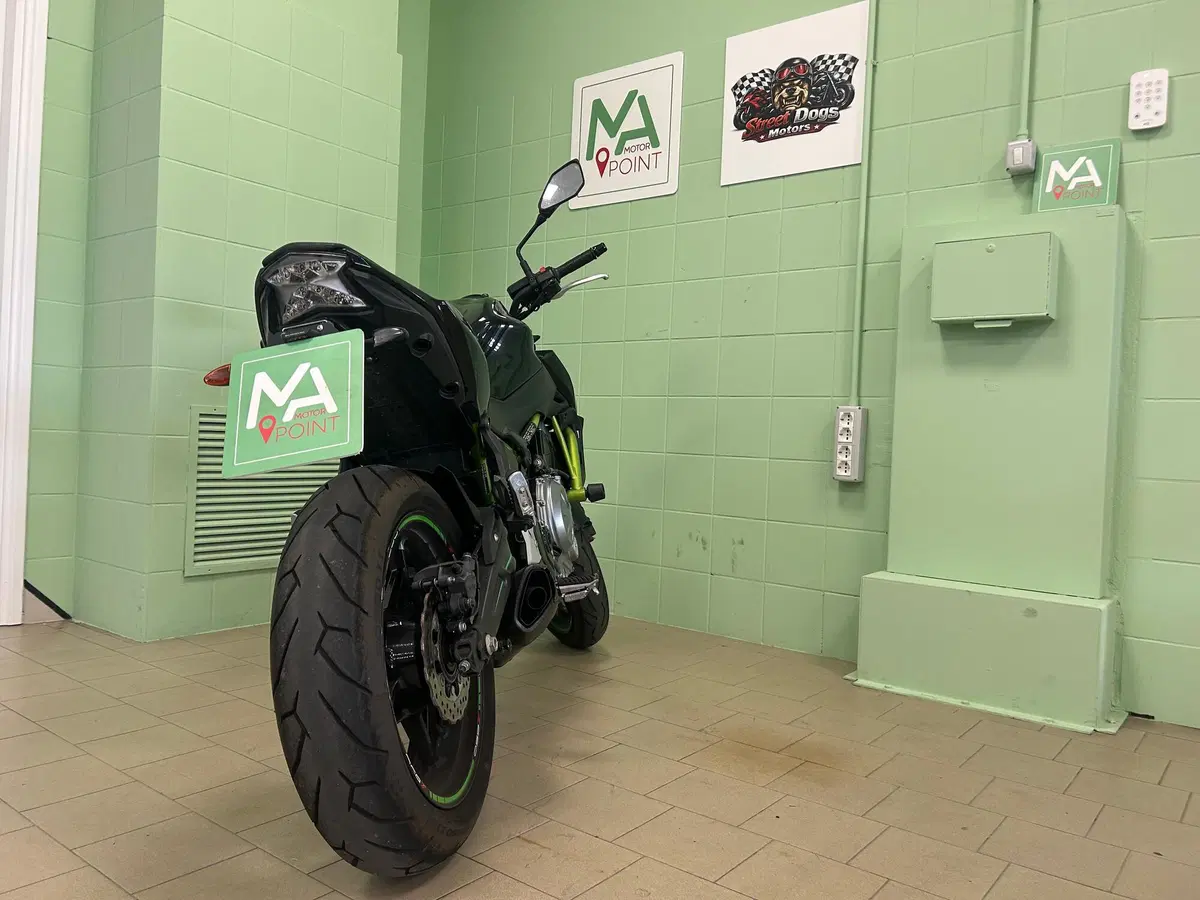 Kawasaki Z 650 (2017 - 19) (19)