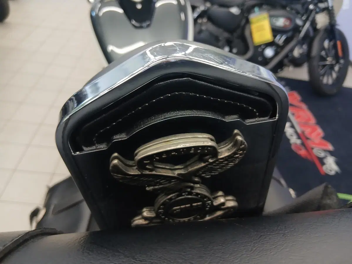 Kawasaki Vulcan VN 900 Classic SE (2011 - 16) (5)