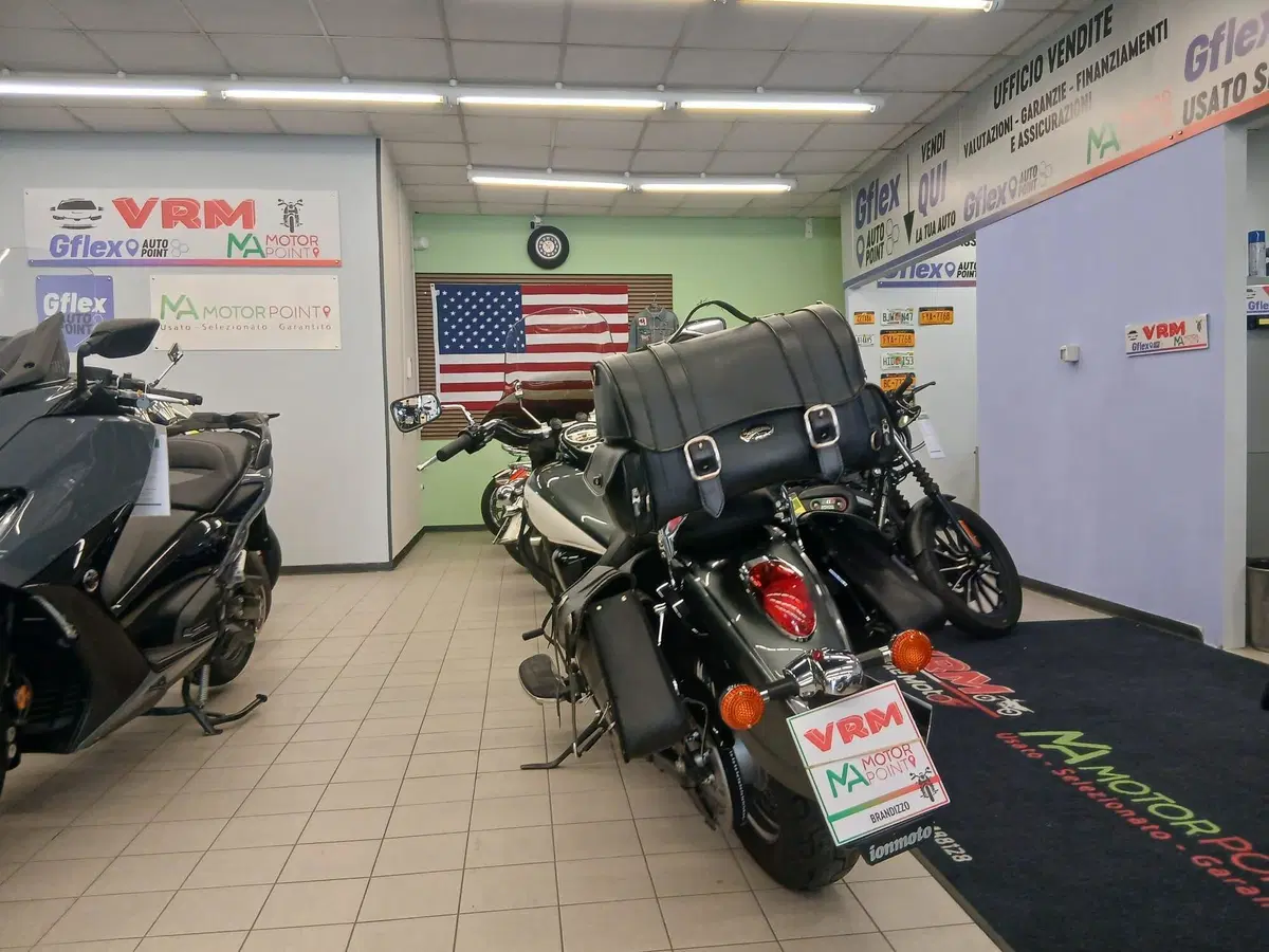 Kawasaki Vulcan VN 900 Classic SE (2011 - 16) (19)