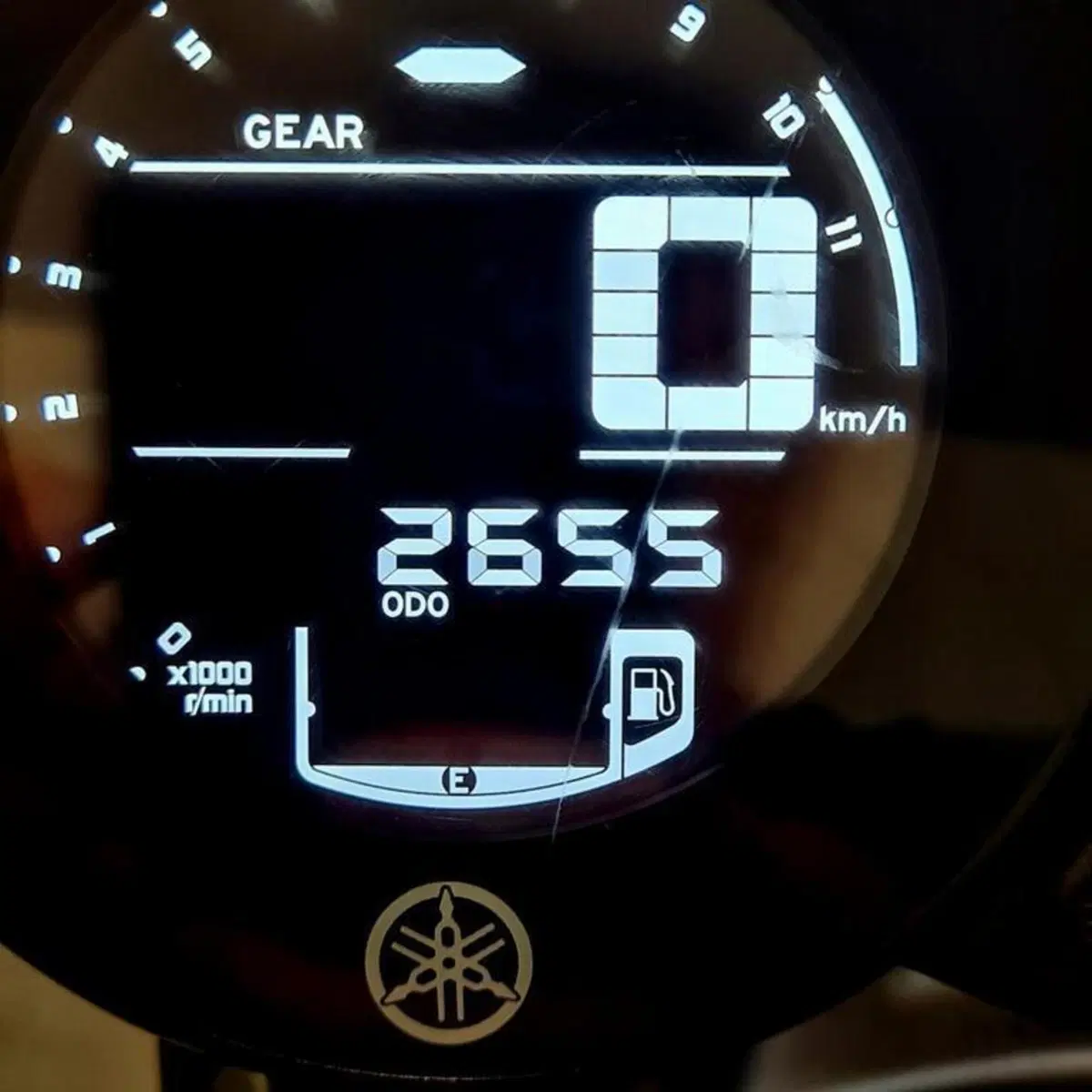Yamaha XSR 700 (2022 - 26) (5)