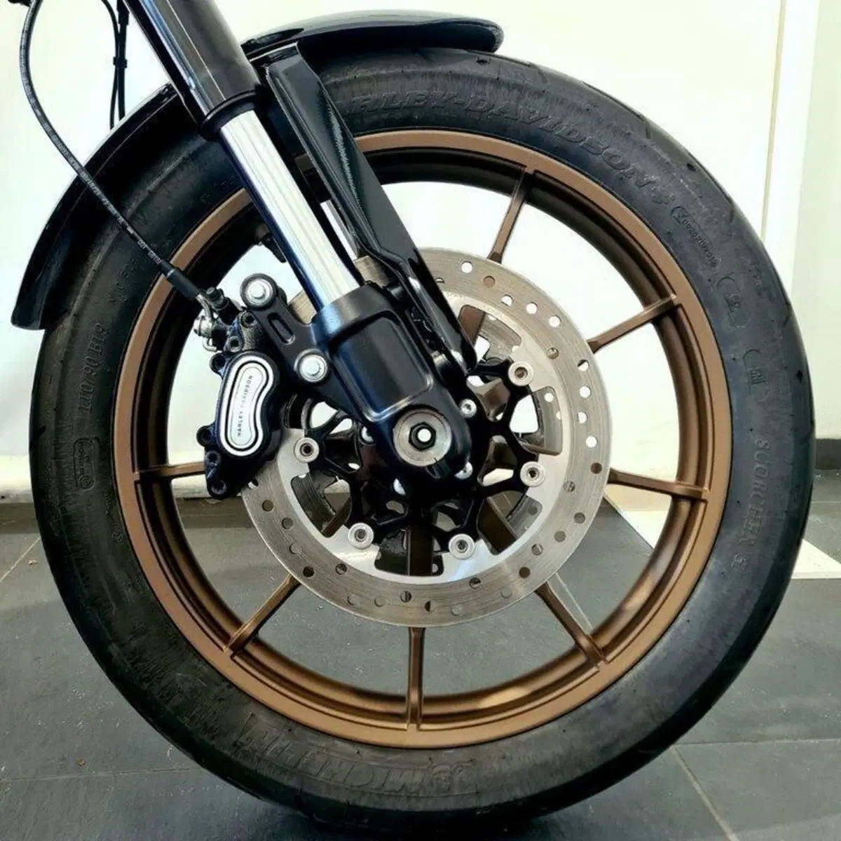 Harley-Davidson Low Rider S (2022 - 24) (14)