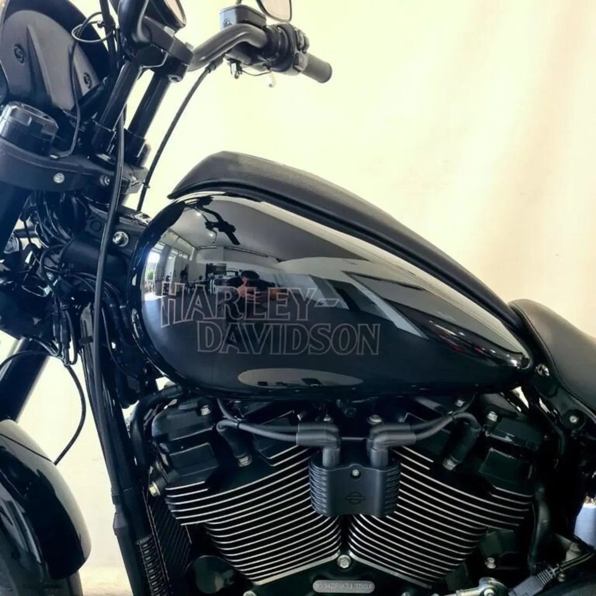 Harley-Davidson Low Rider S (2022 - 24) (9)