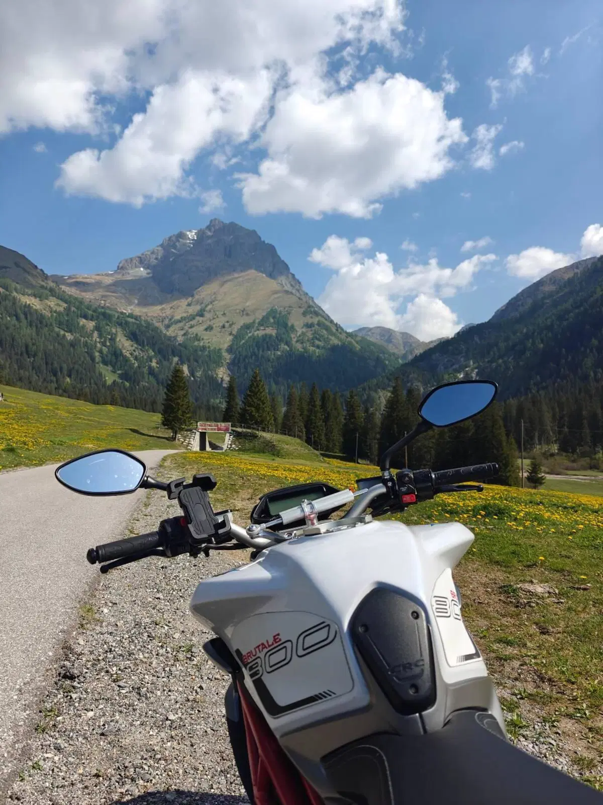 MV Agusta Brutale 800 EAS ABS (2016 - 19) (4)