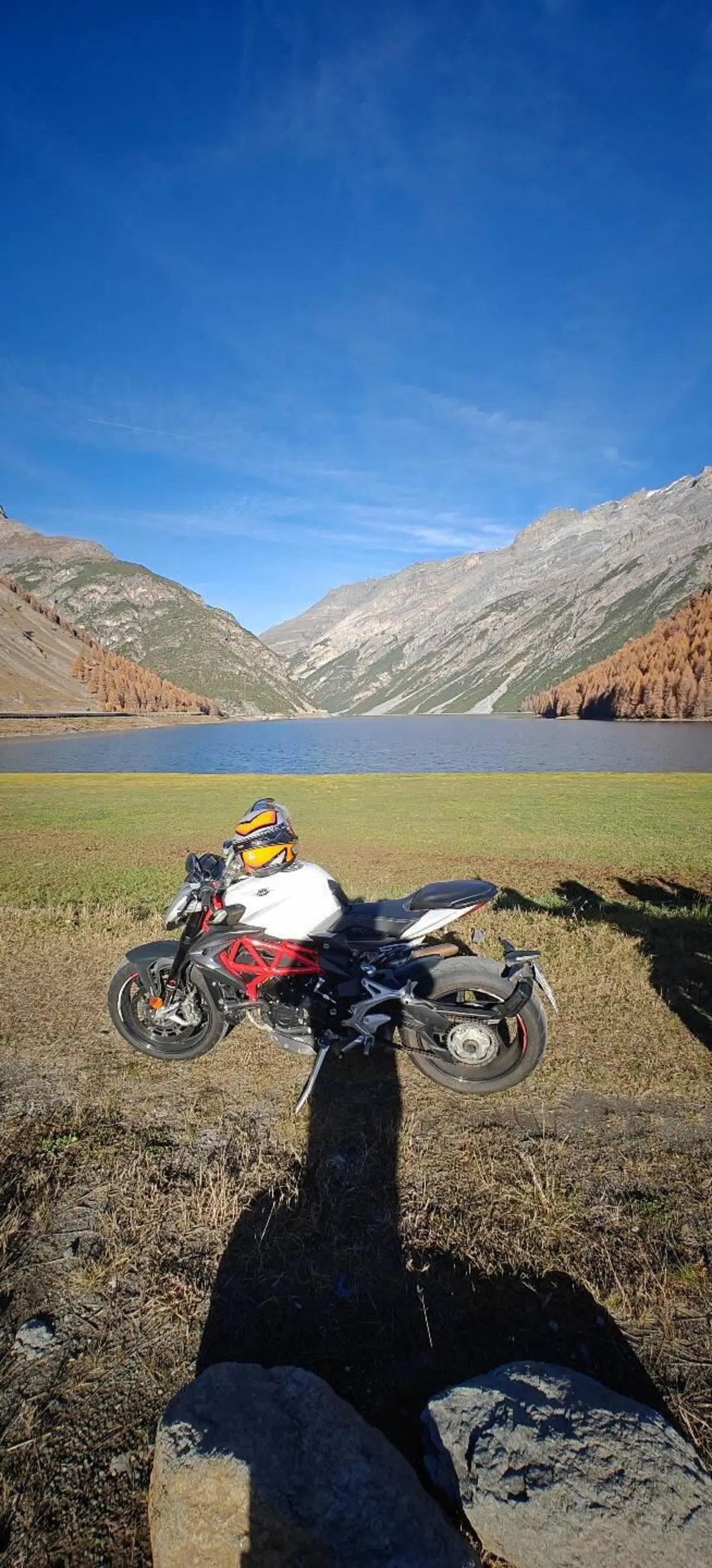 MV Agusta Brutale 800 EAS ABS (2016 - 19) (8)