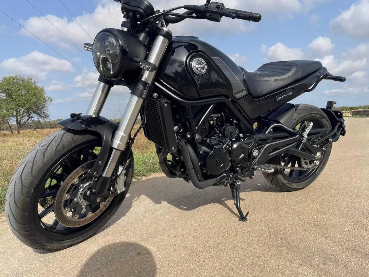 Benelli Leoncino 500 (2021 - 25) (3)