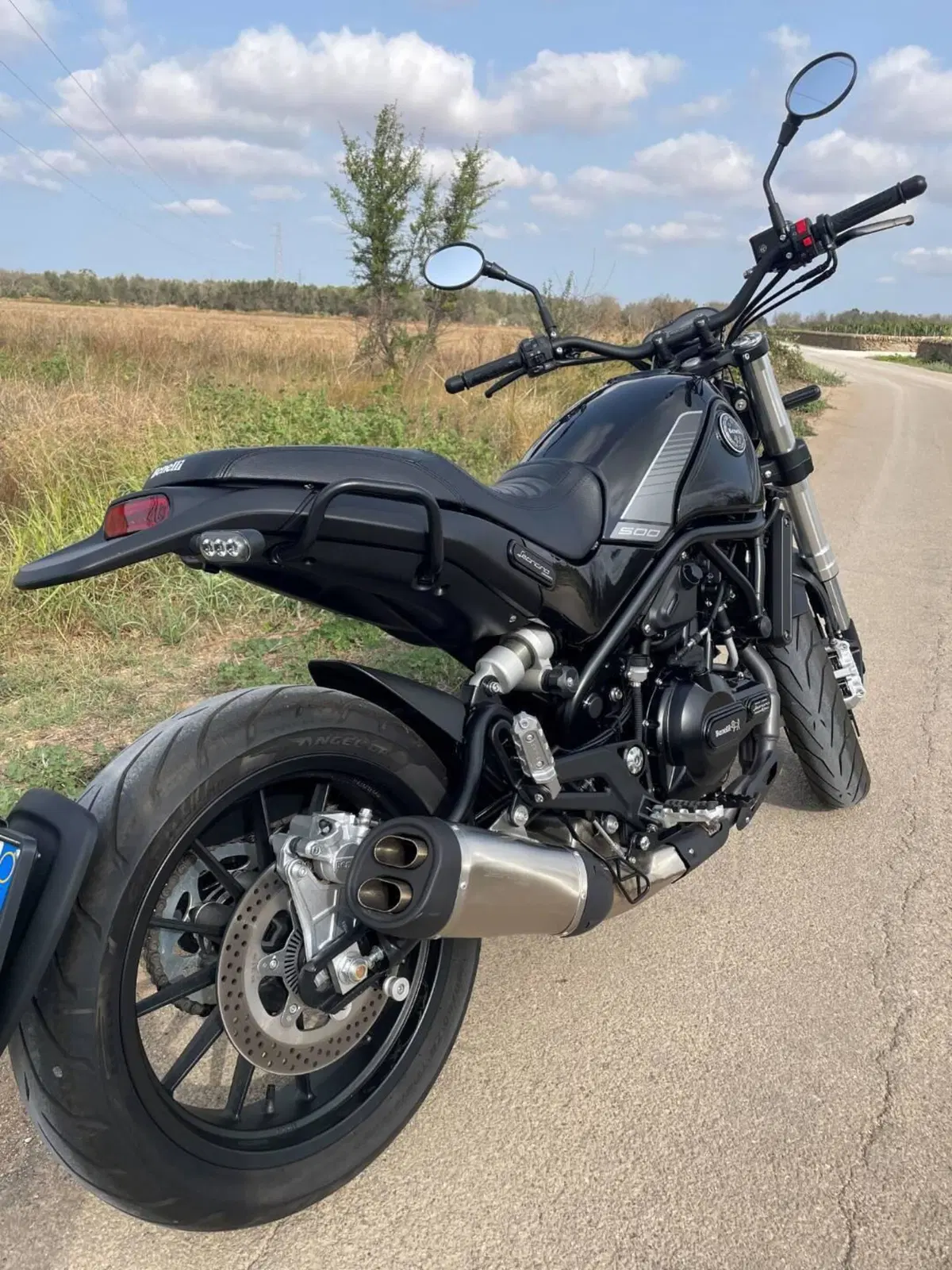 Benelli Leoncino 500 (2021 - 25) (6)